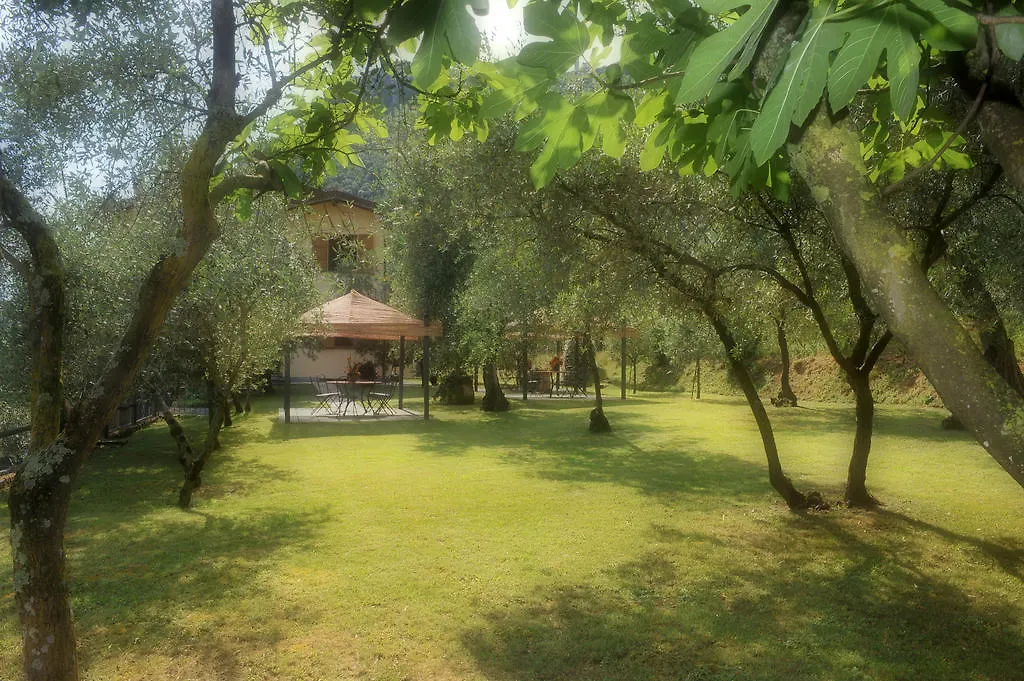 Locanda Podere Il Riposo Camaiore Itálie
