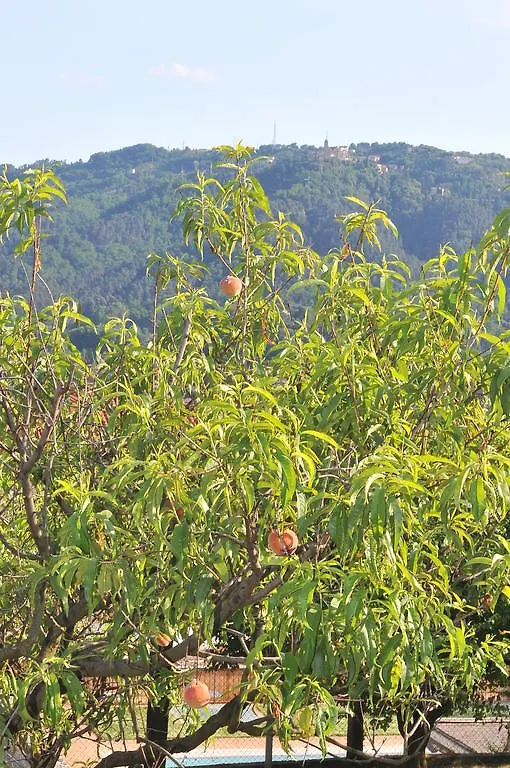 Hotel Locanda Podere Il Riposo Camaiore